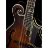 Ortega mandolin RMFE100AVO
