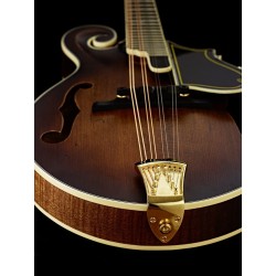 Ortega mandolin RMFE100AVO