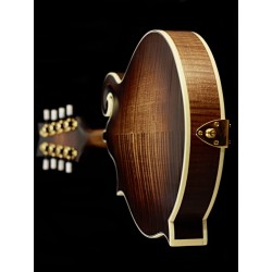 Ortega mandolin RMFE100AVO