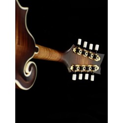 Ortega mandolin RMFE100AVO