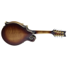 Ortega mandolin RMFE100AVO