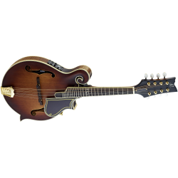 Ortega mandolin RMFE100AVO