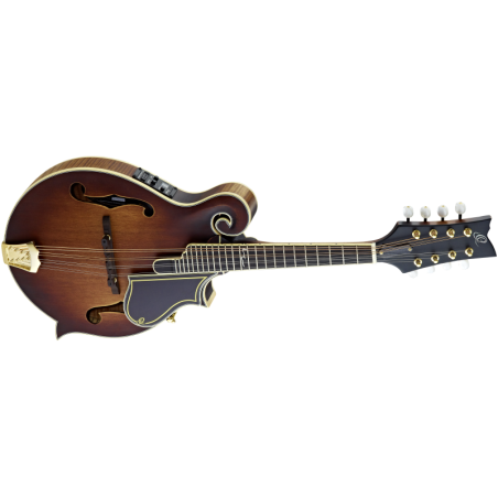 Ortega mandolin RMFE100AVO