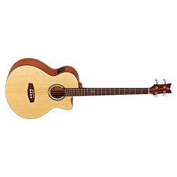 Acoustic Bass Guitar Ortega D538-4