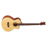 Acoustic Bass Guitar Ortega D538-4