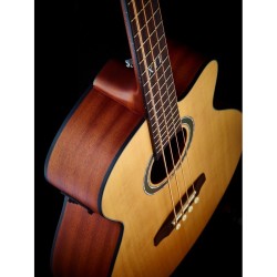 Elektroakustiline basskitarr Ortega D538-4