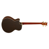 Acoustic Bass Guitar Ortega D558-4