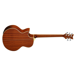 5-keelne elektroakustiline basskitarr Ortega D1-5