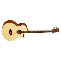 Acoustic Bass Guitar Ortega D1-5