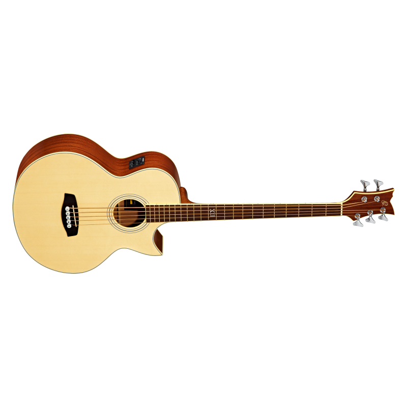 Acoustic Bass Guitar Ortega D1-5