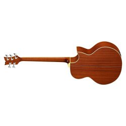 Acoustic Bass Guitar Ortega D1-5LE