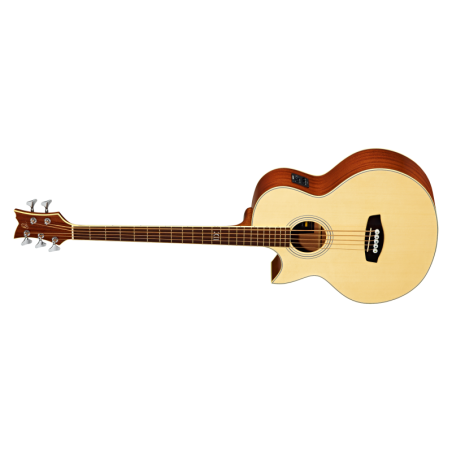 Acoustic Bass Guitar Ortega D1-5LE