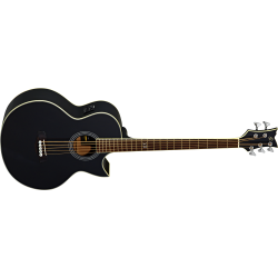 Acoustic Bass Guitar Ortega D1-5-BK