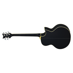 Acoustic Bass Guitar Ortega D1-5LE-BK