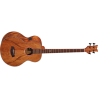 Acoustic Bass Guitar Ortega D3NC-4
