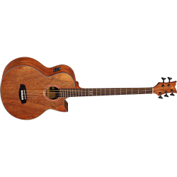 Acoustic Bass Guitar Ortega D3C-5