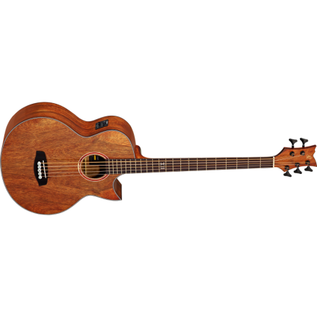 Acoustic Bass Guitar Ortega D3C-5