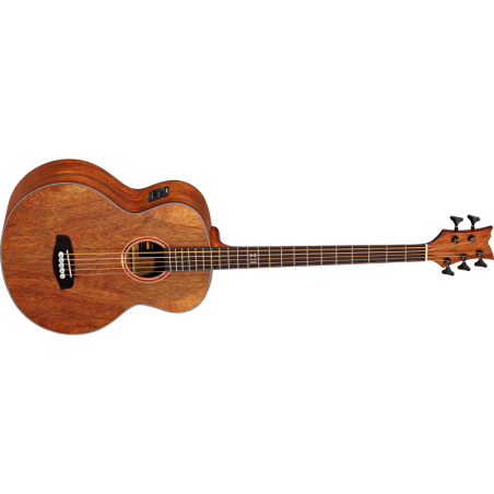 Acoustic Bass Guitar Ortega D3NC-5