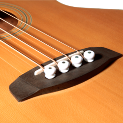 Acoustic Bass Guitar Ortega KTSM-4