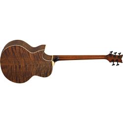 Acoustic Bass Guitar Ortega KTSM-5