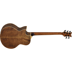 Acoustic Bass Guitar Ortega KTSM-5FL