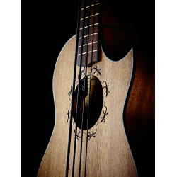 Electro acoustic bass ukulele Ortega PM-SHAMAN