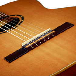 Classical guitar