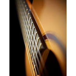 Classical guitar Ortega M5CS