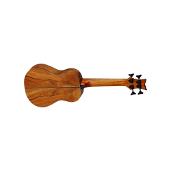 Acoustic Bass Guitar Ortega LIZARD-BS-GB