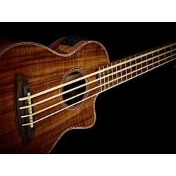 Acoustic Bass Guitar Ortega CAIMAN-BS-GB