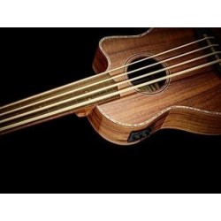 Acoustic Bass Guitar Ortega CAIMAN-BS-GB
