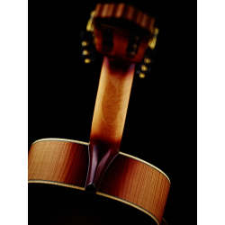 Elektroakustiline klassikaline kitarr Ortega Honey Suite C/E