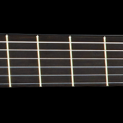 Electro acustic bass guitar STRIPED SUITE ACB