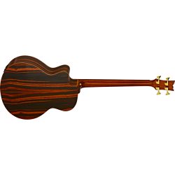 Electro acustic bass guitar STRIPED SUITE ACB