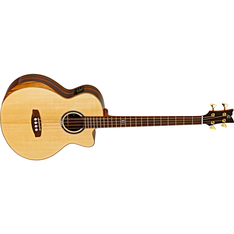 Electro acustic bass guitar STRIPED SUITE ACB