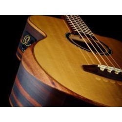 Electro acustic bass guitar STRIPED SUITE ACB