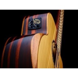 Electro acustic bass guitar STRIPED SUITE ACB