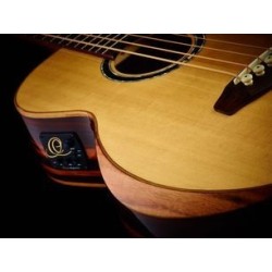 Electro acustic bass guitar STRIPED SUITE ACB