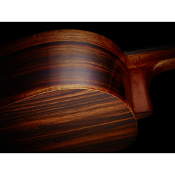 Electro acustic classical guitar STRIPED SUITE C/E