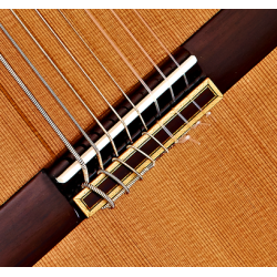 Classical guitar OCTA SUITE