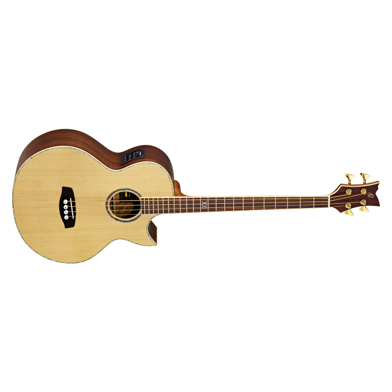 Acoustic Bass Guitar Ortega D2-4