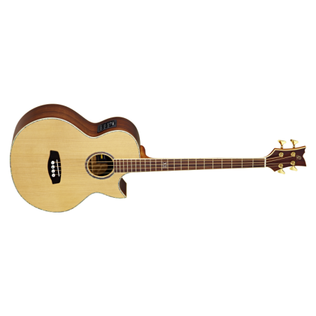 Acoustic Bass Guitar Ortega D2-4