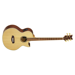 Acoustic Bass Guitar Ortega D2-5