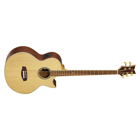 Acoustic Bass Guitar Ortega D2-5