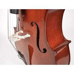 Leonardo LC-1018 Basic series cello outfit 1/8