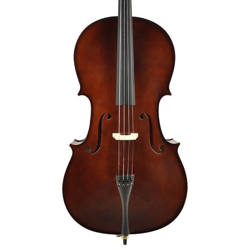 Leonardo LC-2010 Basic series cello outfit 1/10