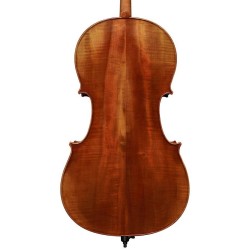 Scott Cao STC17E Conservatory cello 4/4