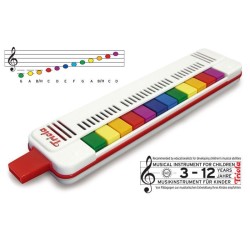 Triola komplekt 24 + lauluraamatud C.A. SEYDEL SÖHNE