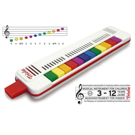 Triola komplekt 24 + lauluraamatud C.A. SEYDEL SÖHNE