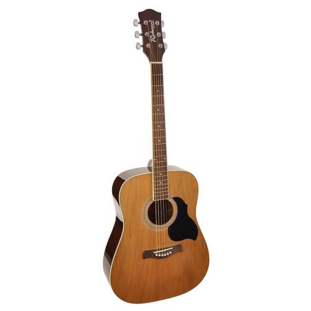 Richwood acoustic guitar RD-12